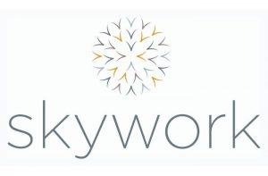 skywork centre affaires lyon 3 part dieu domiciliation location
