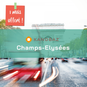 champs élysées paris domiciliation